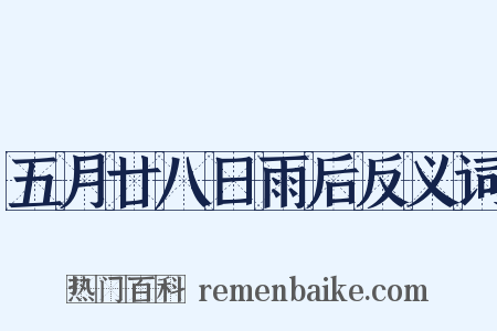 五月廿八日雨后反义词是什么意思的图片